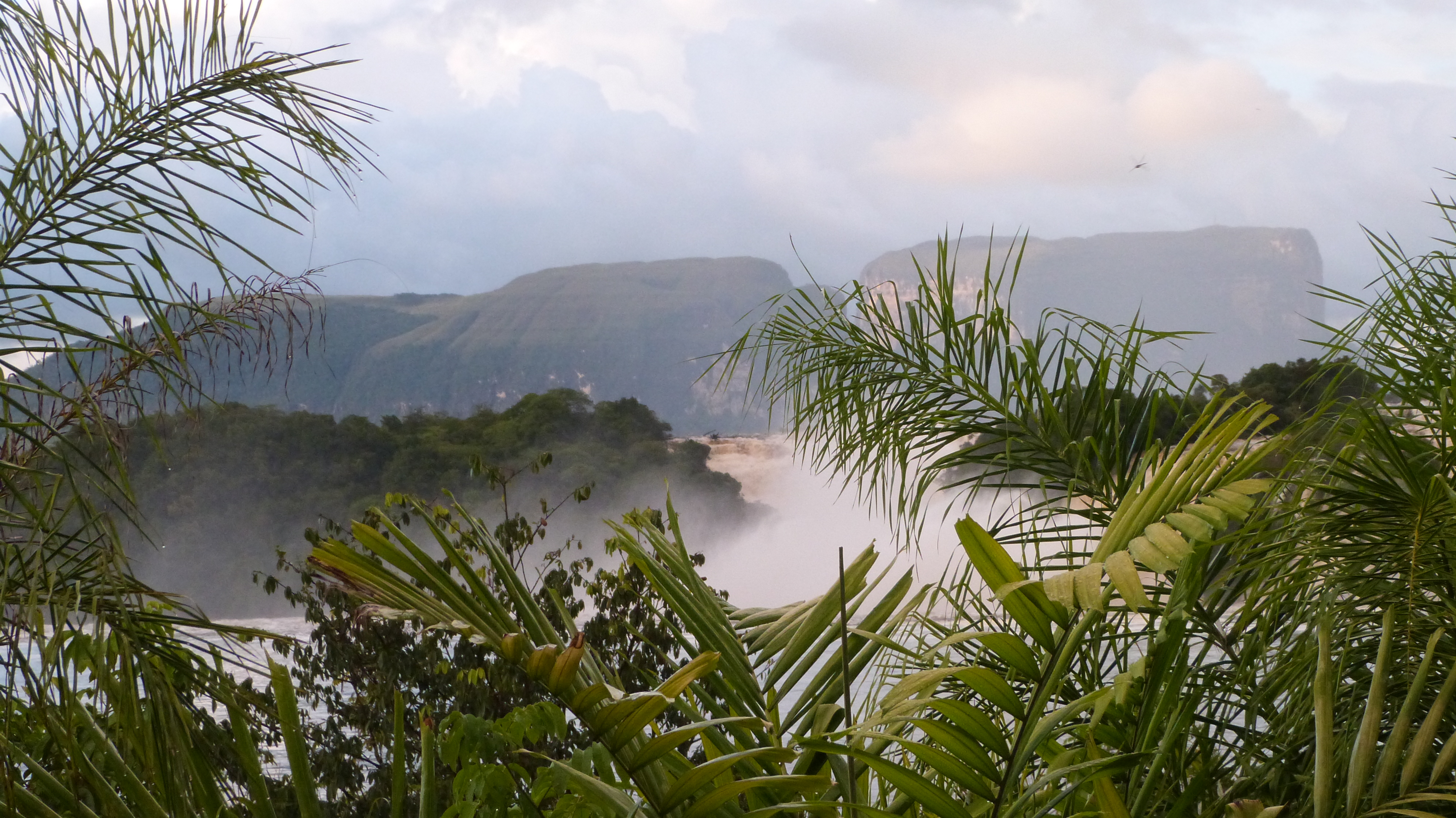 Fondo ilustrativo: Saberes, lenguas y derechos colectivos