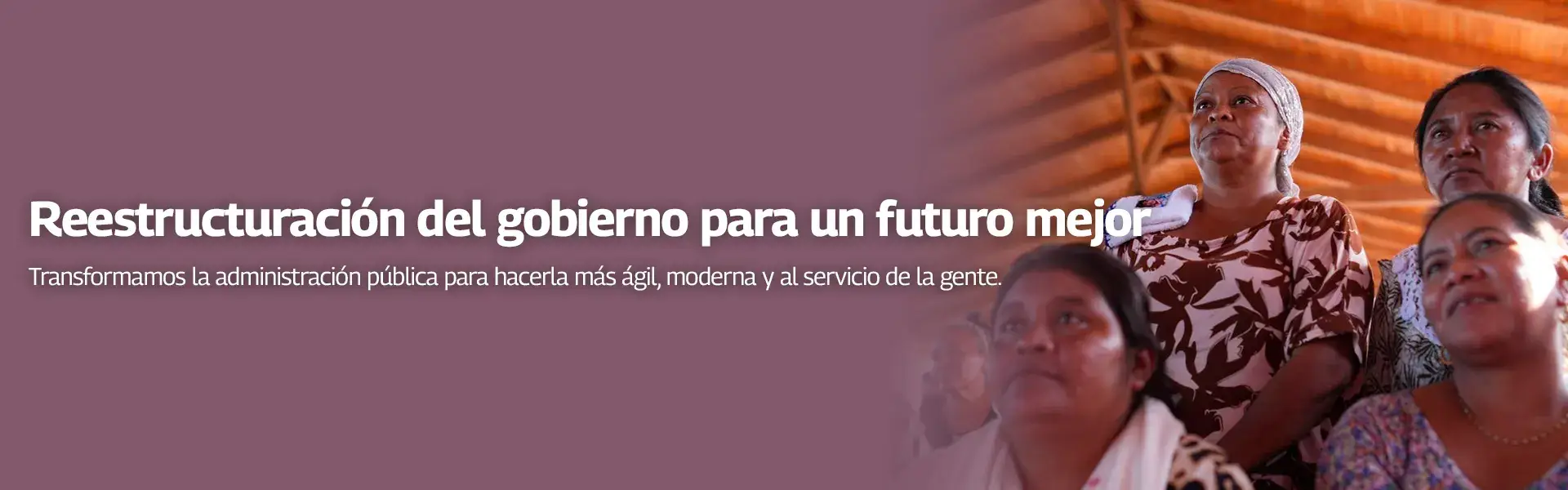 Reestructuración y reingeniería del Gobierno Bolivariano — banner 3