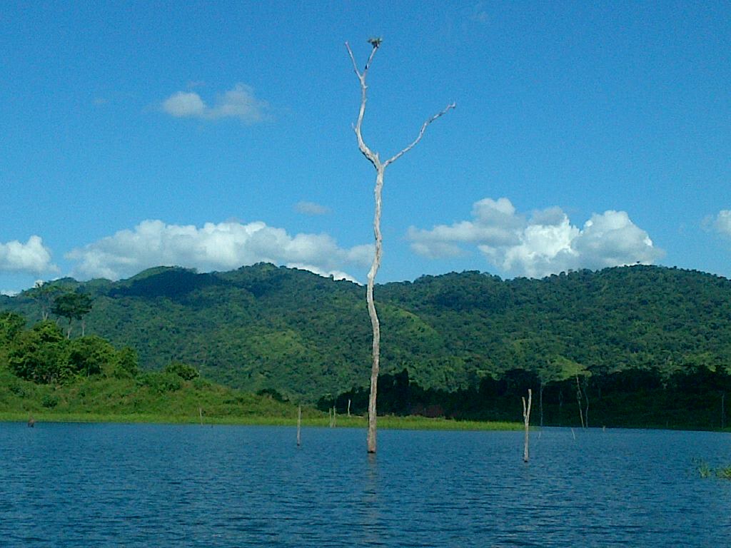 Imagen de referencia territorial, Portuguesa