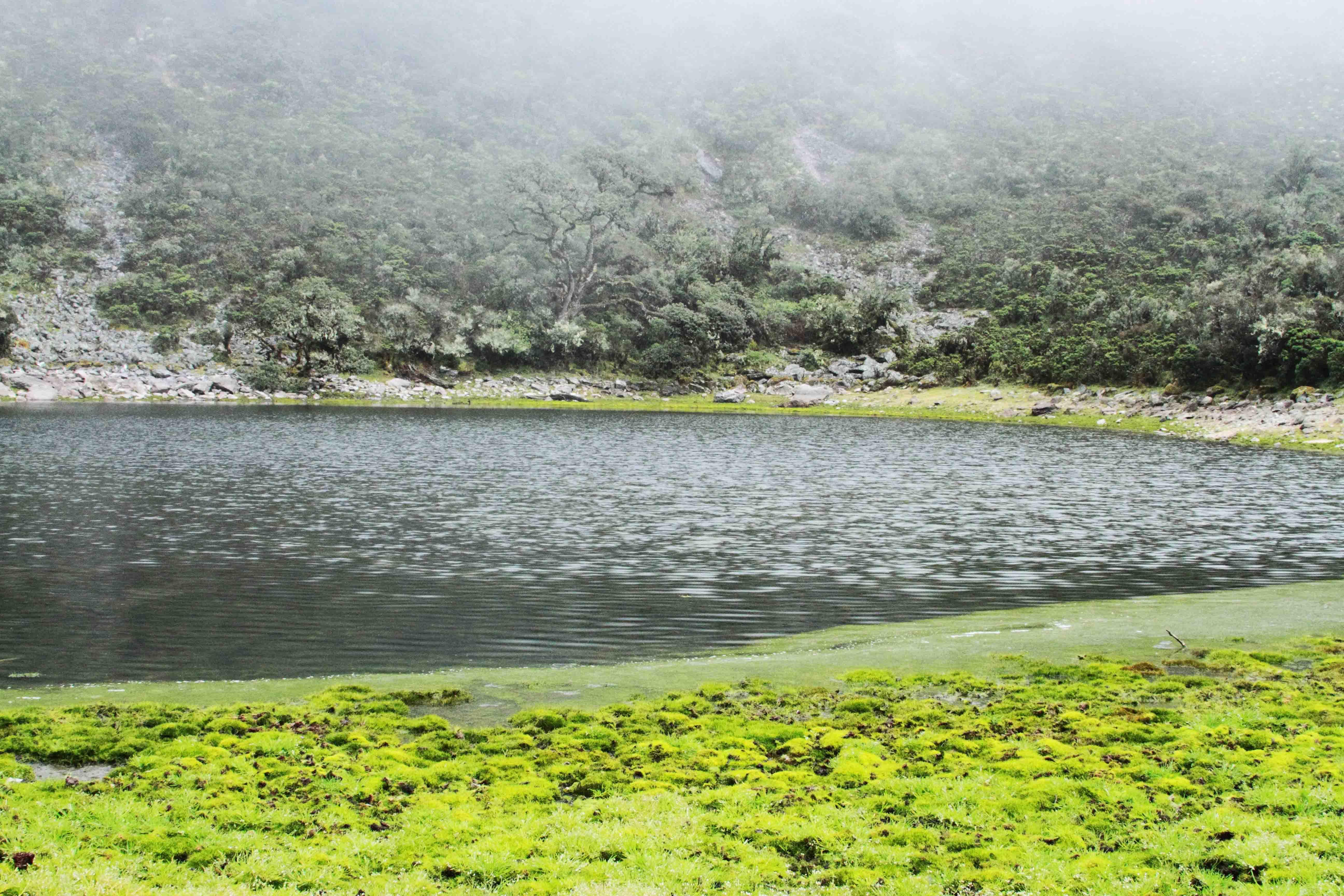 Imagen de referencia territorial, Táchira