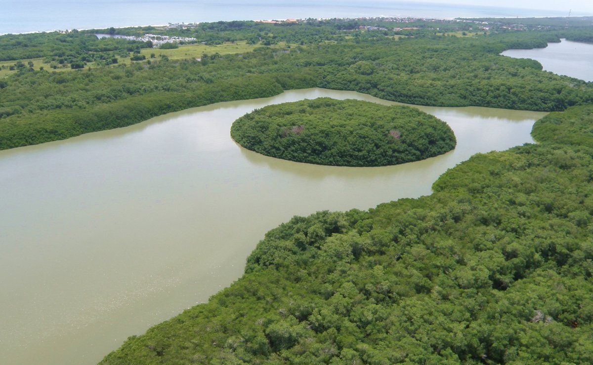 Imagen de referencia territorial, Miranda