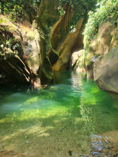 Imagen de referencia territorial, Barinas