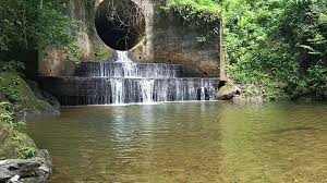 Imagen de referencia territorial, Guárico