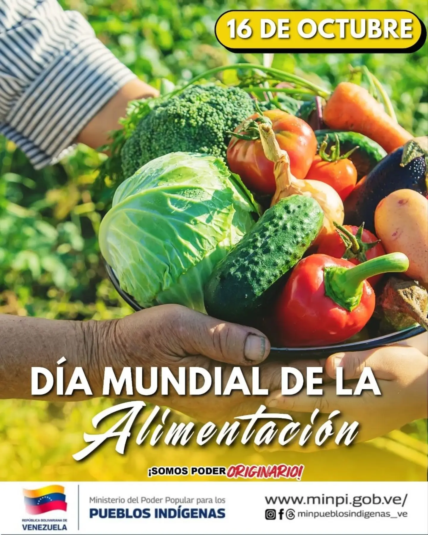 Imagen de la noticia: Día mundial de la alimentación