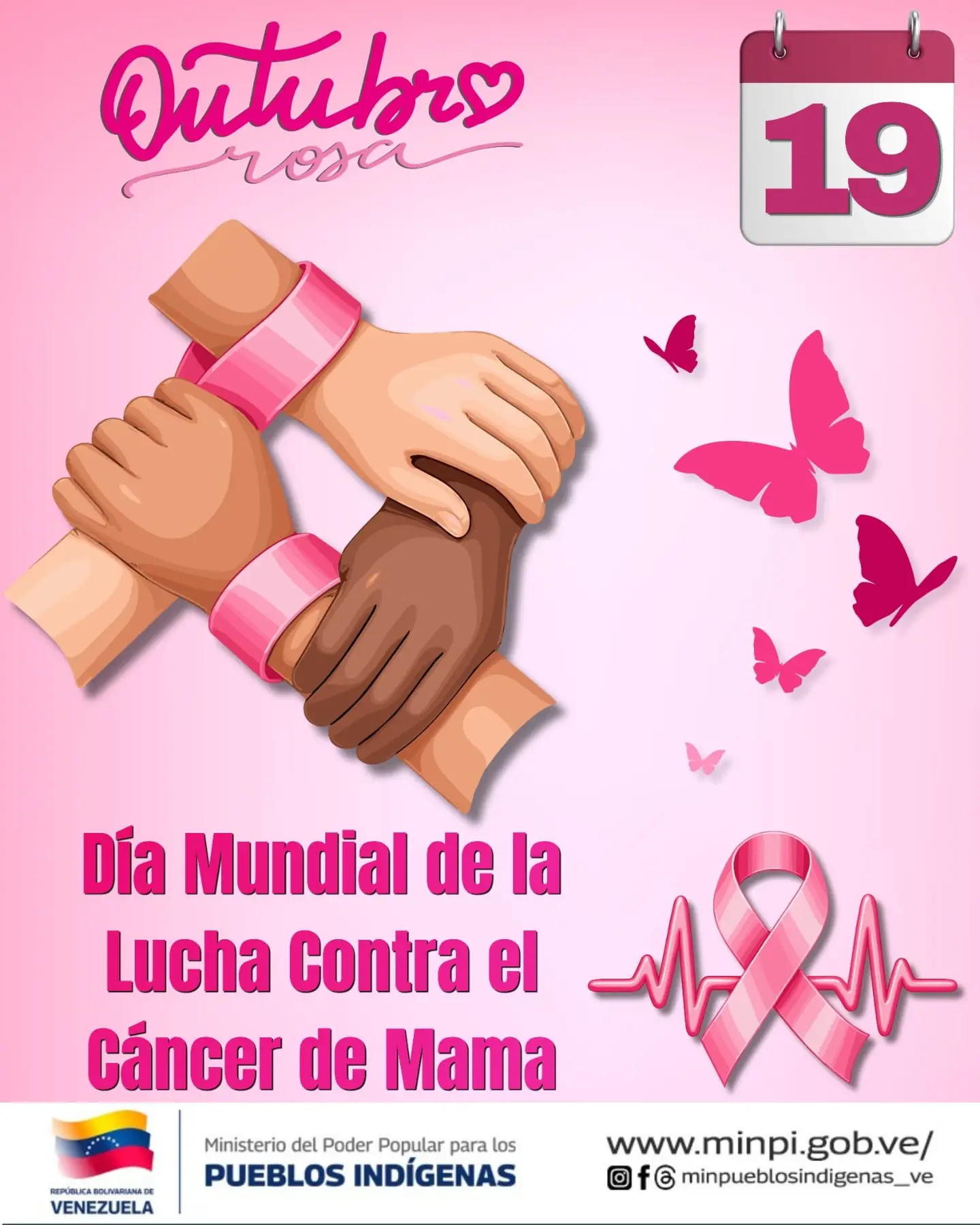 Imagen de la noticia: Día mundial de la lucha contra el cáncer